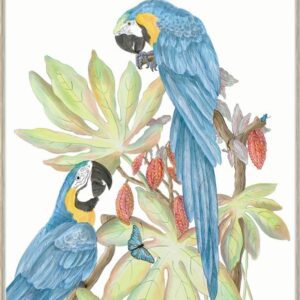macaw-parrot-art-print-by-Allison-Cosmos