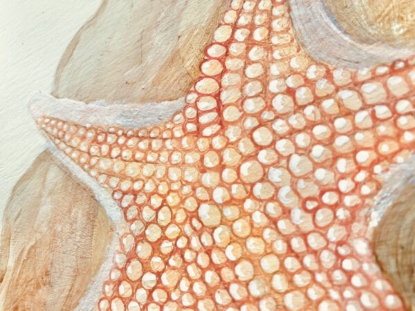 Coral-Reef-triptych-coastal-art-starfish-by-allison-cosmos