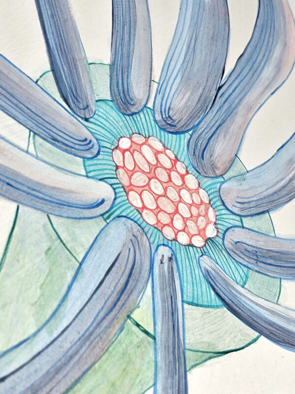 anemone-art-print-by-allison-cosmos