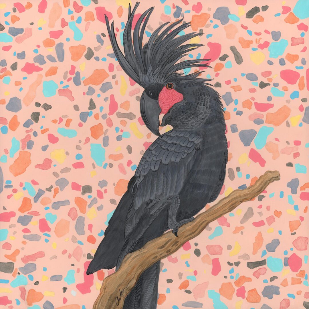 palm-cockatoo-black-parrot-painting-Allison-Cosmos