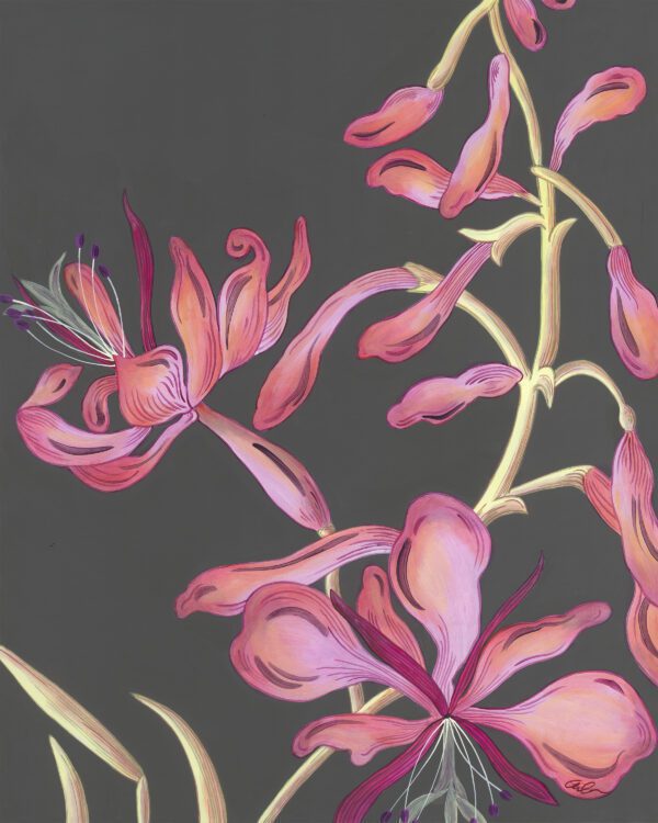 fireweed-flower-painting-art-by-Allison-Cosmos
