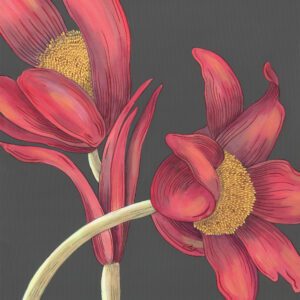 red-pasque-flower-painting-by-Allison-Cosmos